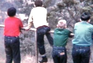 Four boys looking into the wilderness. We see the back of the boys, one of them is straddling a fence.